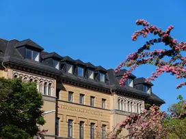 Das architektonisch beindruckende Gebäude, mit goldener Schrift "Krankenhaus St Vinzenz", die Sonne scheint, der Himmel ist blau und ein ros blühender Zweig ragt von rechts ins Bild 